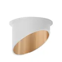 103092 - ALFA ROUND WHITE GOLD DOWNLIGHT BRY
