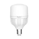 101021 - 20W E27 T80 6500K LED BULB- BRY
