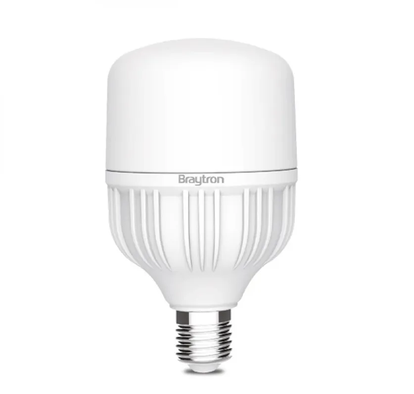 101022 - 40W E27 T120 6500K LED BULB - BRY