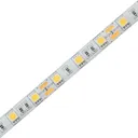107019-BRY-ECOLINE-12W-60L-5050-RGB-12V-IP20-LED STRIP