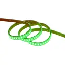 107111- LED Strip 220V, Dimmable,Size 10cm–50m,16W/m,100lm/W GREEN -LDL