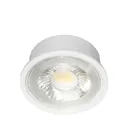 101091 - PREMIUM 5W 6500K 38D MR16 LED MODUL - BRY