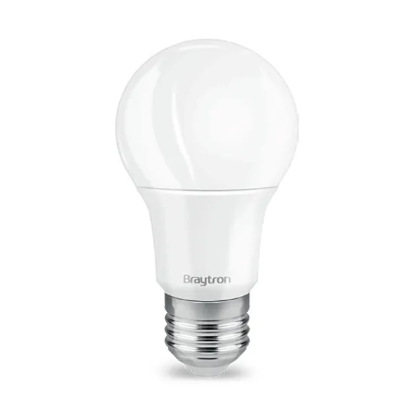 101095 - ADVANCE 5W E27 A60 6500K LED BULB BRY