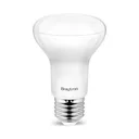 101128 - ADVANCE 9W E27 R63 6500K LED BULB BRY