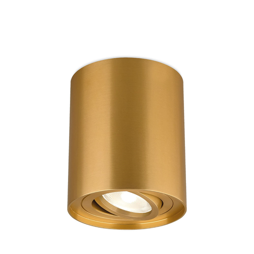 [BRYBH04-00306] 101389-BRY-GAMA-8010-RND-GLD-GU10-SPOTLIGHT