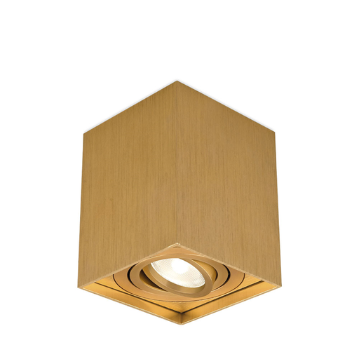[BRYBH04-00316] 101392-BRY-GAMA-8010-SQR-GLD-GU10-SPOTLIGHT