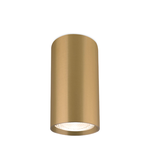 [BRYBH04-00506] 101398-BRY-GAMA-5510-RND-GLD-GU10-SPOTLIGHT