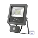 101837-BRY-FLOOD-SL-30W-GRY-3000K-SNS-IP54-LED FLOODLIGHT