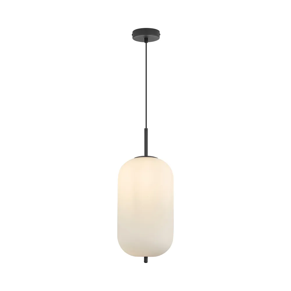 120392 - S011R1H1xE27OPLPENDANT LIGHTBRY