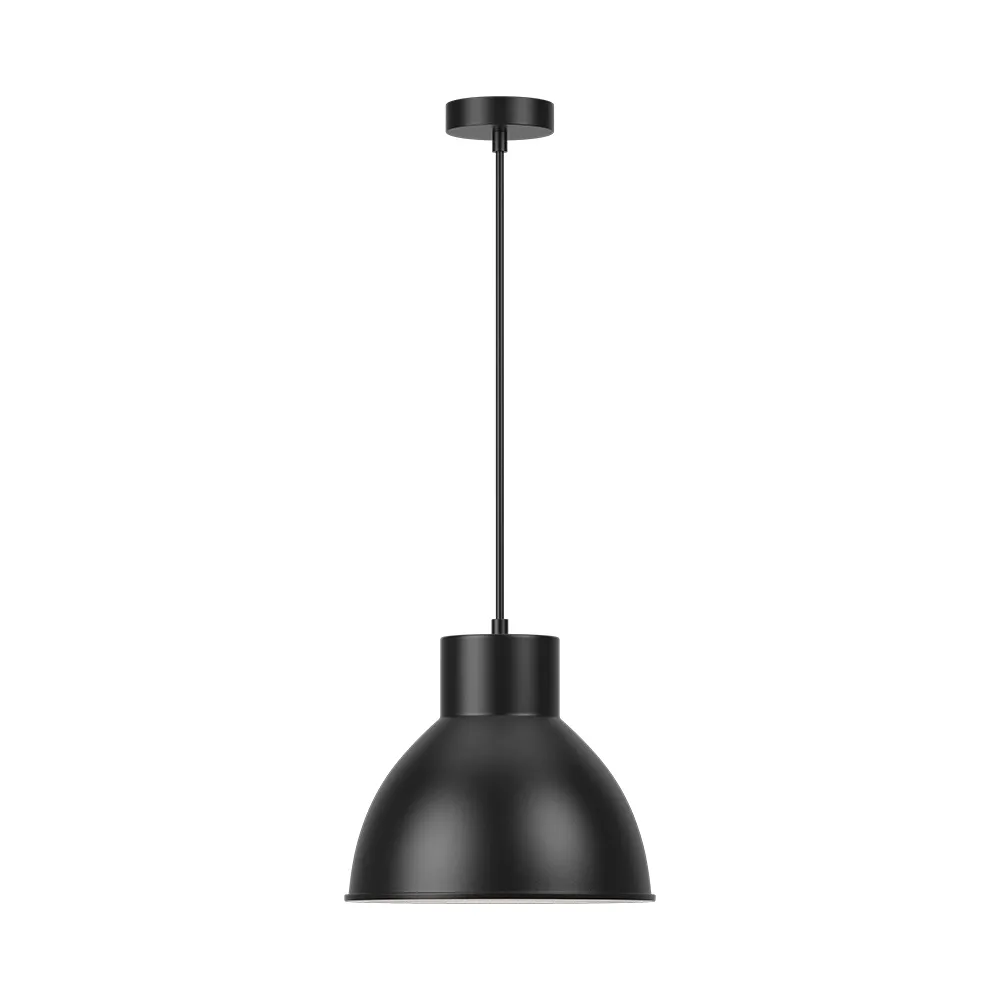 120495 - P008R1H1xE27BLCPENDANT LIGHTBRY