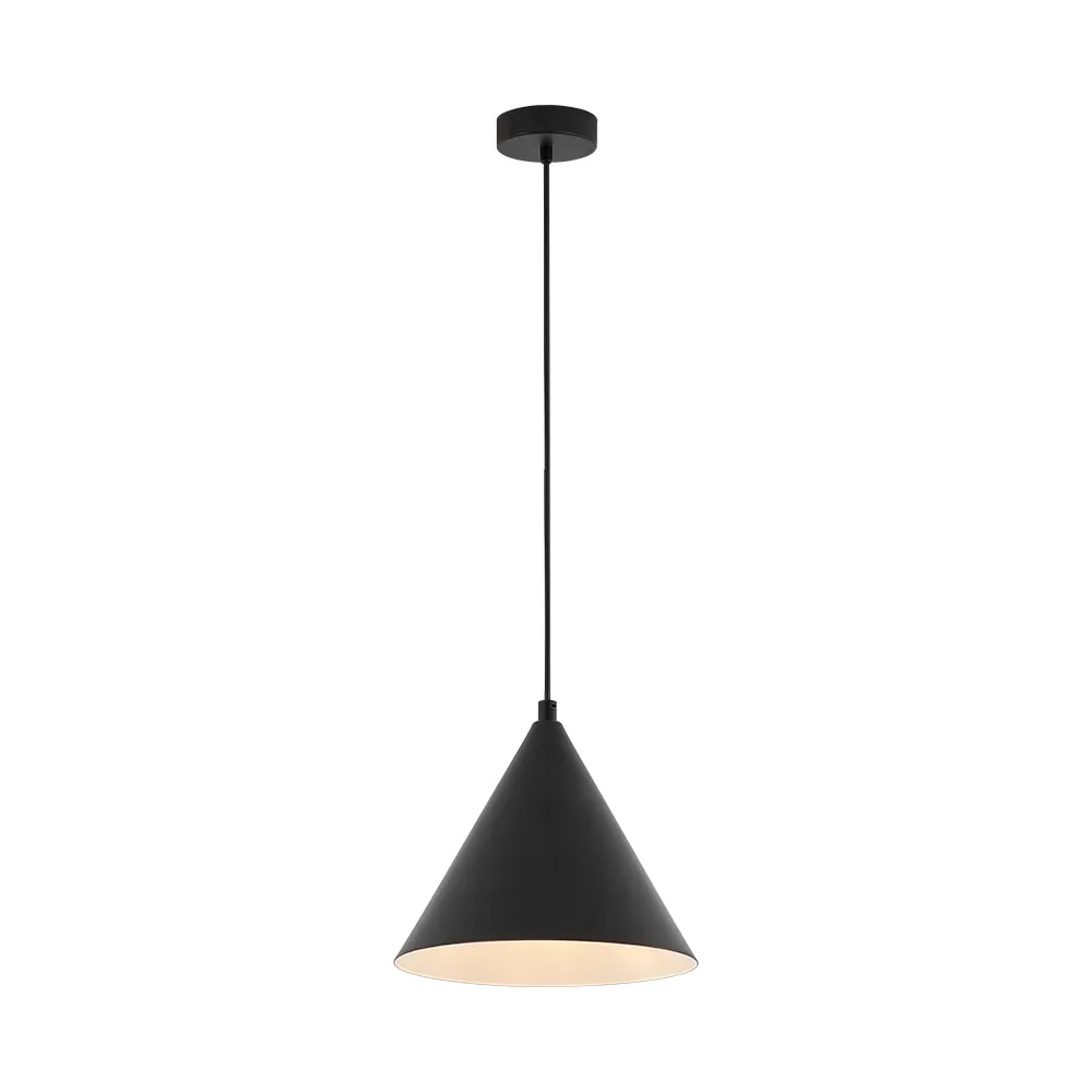 120503 - P010R1H1xE27BLCPENDANT LIGHTBRY