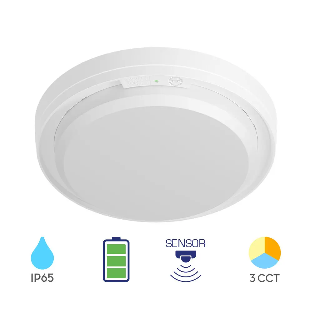 120167 - MOON18W3IN1KITIP65CEILING LIGHT BRY