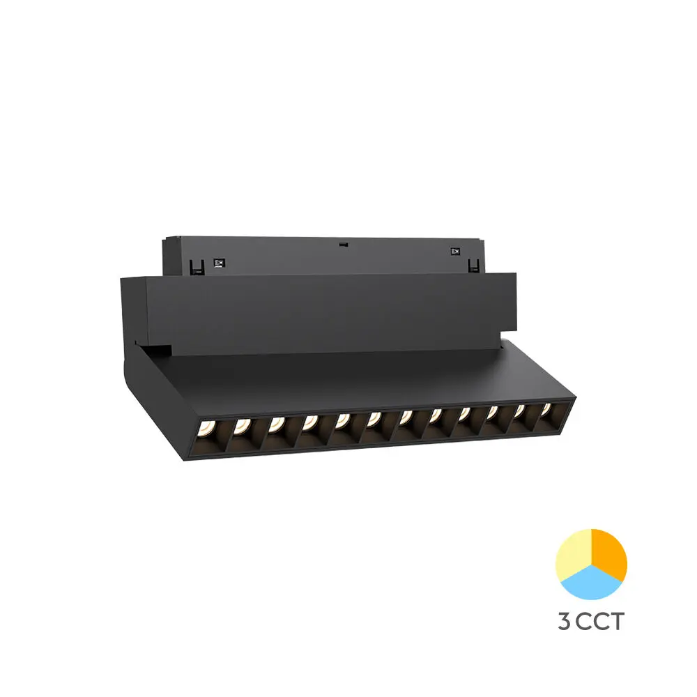 101261-WSL250-12W-48VDC-3IN1-BLC-MAG. LINEAR-BRY 