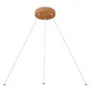 103079-PENDANT KIT-BLADE-LN-WDN-BRY