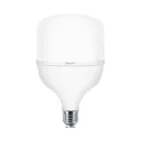 101076 - PREMIUM 38W E27 T120 6500K LED BULB BRY