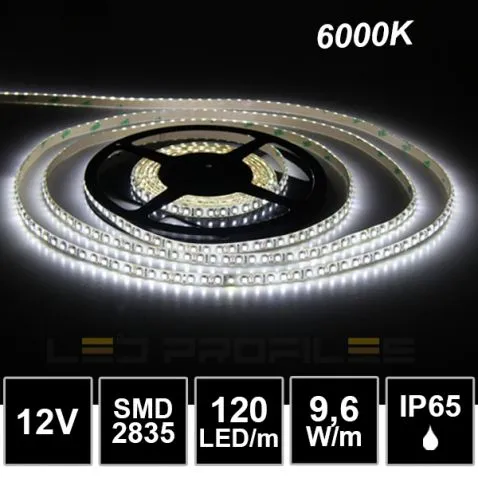 [LDPLS417] 109060 - 5m LED strip 12V 9,6W SMD2835 120LED/m IP65 6000K-LDP
