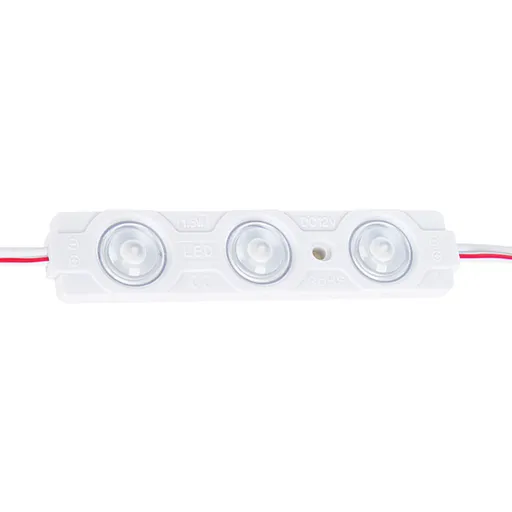 [BRYBS04-00203] 105062 - 1.2W 2LED-6500K-12VDC-IP67 LED MODULE- BRY